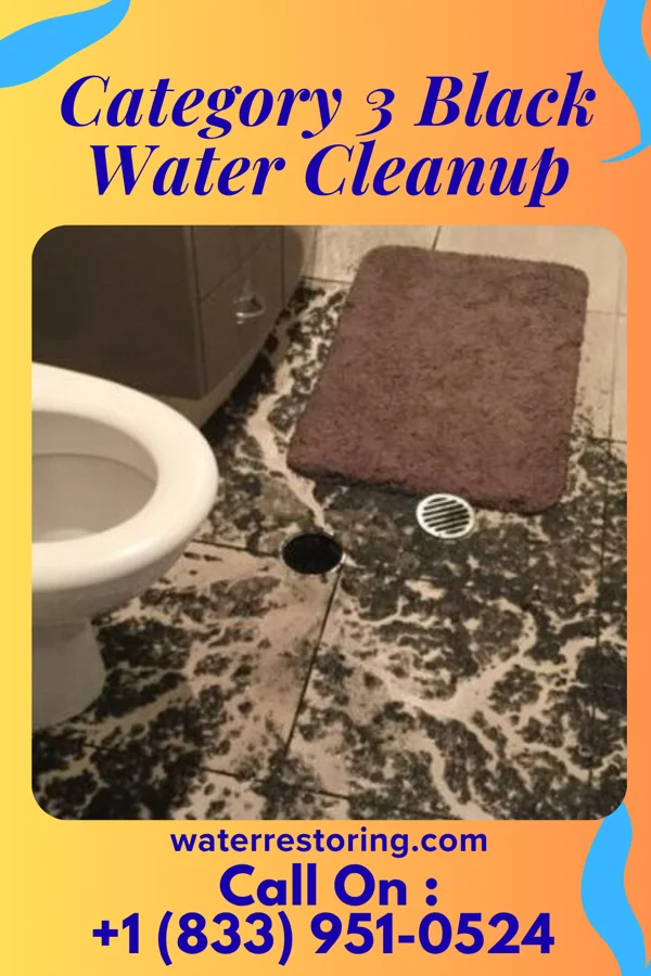 Category 3 Black Water Cleanup in Zephyrhills West, FL